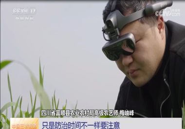 微信图片_20250305153125.png